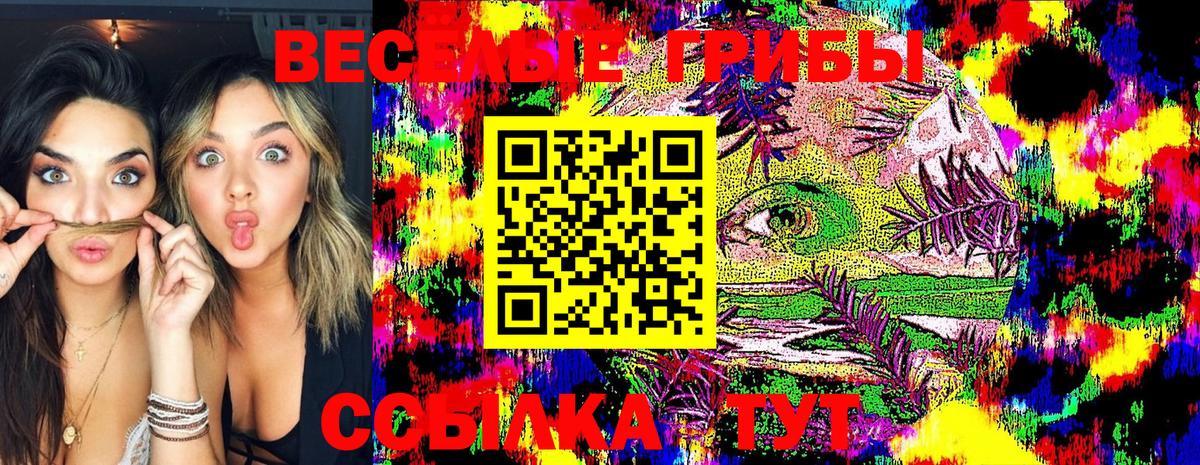 Галлюциногенные грибы GOLDEN TEACHER Кировск