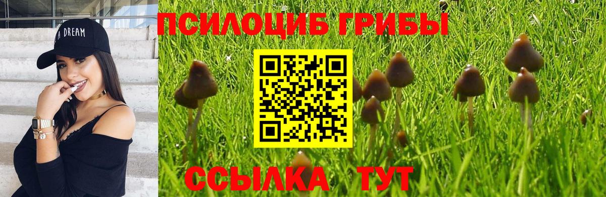 Кировск  Галлюциногенные грибы GOLDEN TEACHER  Вход с VPN 
